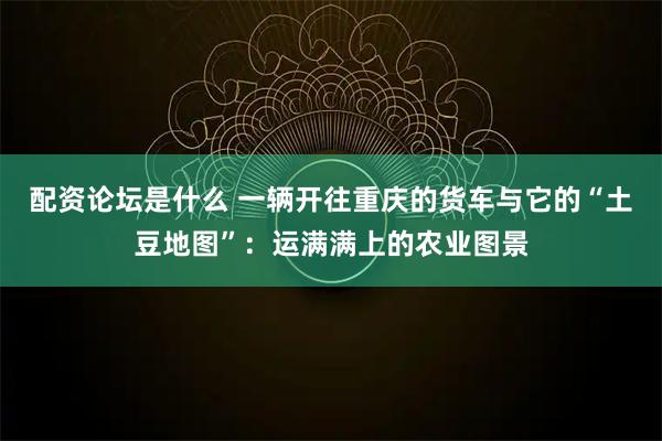配资论坛是什么 一辆开往重庆的货车与它的“土豆地图”：运满满上的农业图景