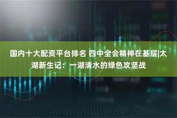 国内十大配资平台排名 四中全会精神在基层|太湖新生记:一湖清水的绿色攻坚战