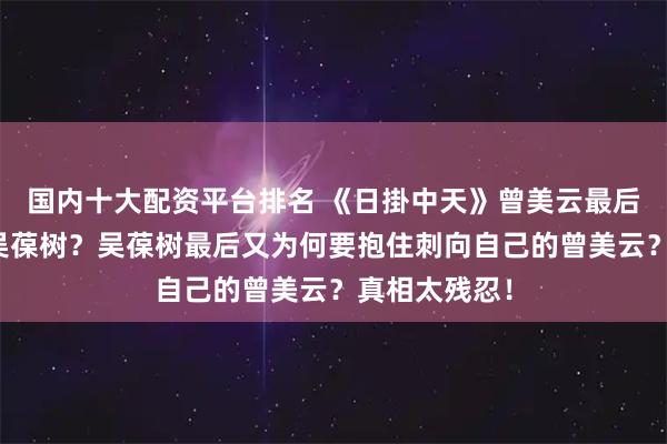 国内十大配资平台排名 《日掛中天》曾美云最后为何要刺向吴葆树？吴葆树最后又为何要抱住刺向自己的曾美云？真相太残忍！