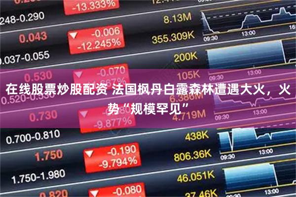 在线股票炒股配资 法国枫丹白露森林遭遇大火，火势“规模罕见”
